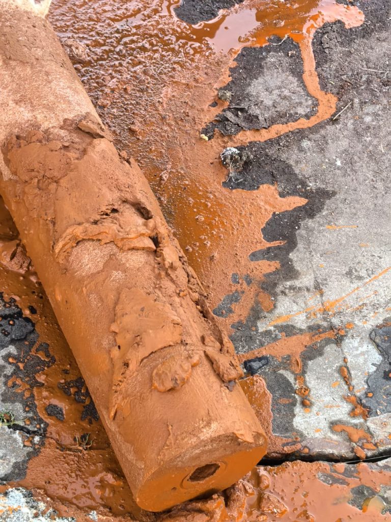 WhatsApp Image 2025-11-18 at 16.05